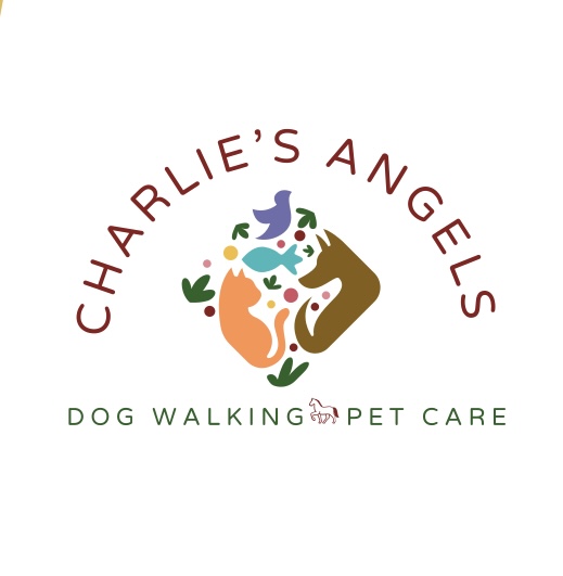 Charlie's Angels dog walking and pet care